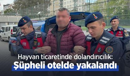 Hayvan ticaretinde dolandırıcılık: Şüpheli otelde yakalandı