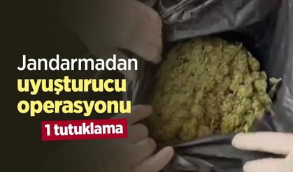 Jandarmadan uyuşturucu operasyonu: 1 tutuklama