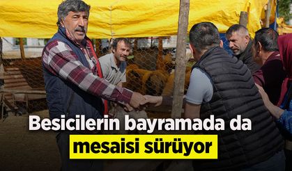 Besicilerin kurbanda da mesaisi sürüyor
