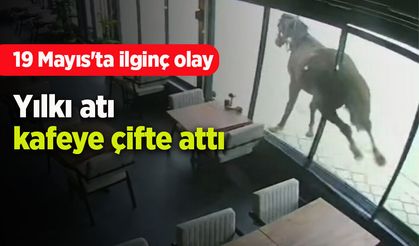 19 Mayıs'ta ilginç olay: Yılkı atı kafeye çifte attı
