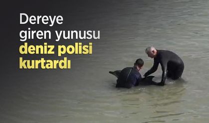 Dereye giren yunusu deniz polisi kurtardı