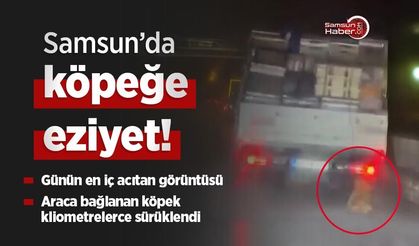 Samsun’da köpeğe eziyet görüntüsü tepki çekti