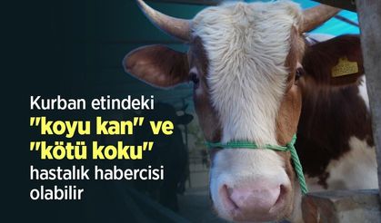 Kurban etindeki "koyu kan" ve "kötü koku" hastalık habercisi olabilir