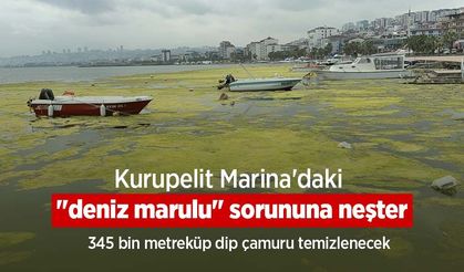 Kurupelit Marina'daki "deniz marulu" sorununa neşter: 345 bin metreküp dip çamuru temizlenecek