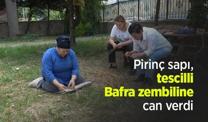 Pirinç sapı, tescilli Bafra zembiline can verdi