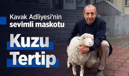 Kavak Adliyesi'nin sevimli maskotu: Kuzu Tertip