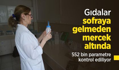 Gıdalar sofraya gelmeden mercek altında: 552 bin parametre kontrol ediliyor