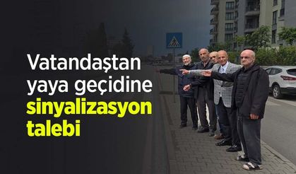 Vatandaştan yaya geçidine sinyalizasyon talebi