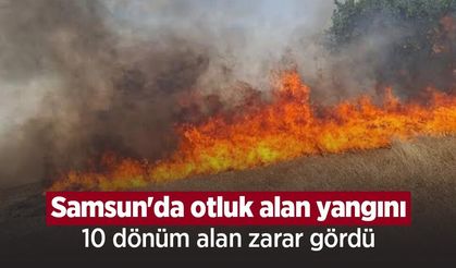 Samsun'da otluk alan yangını: 10 dönüm alan zarar gördü