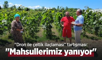 "Dron ile çeltik ilaçlaması" tartışması: "Mahsullerimiz yanıyor"