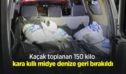 Kaçak toplanan 150 kilo kara kıllı midye denize geri bırakıldı