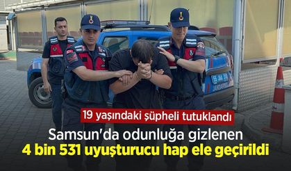 Samsun'da odunluğa gizlenen 4 bin 531 uyuşturucu hap ele geçirildi: 19 yaşındaki şüpheli tutuklandı