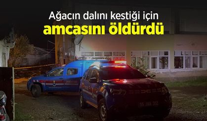 Ağacın dalını kestiği için amcasını öldürdü