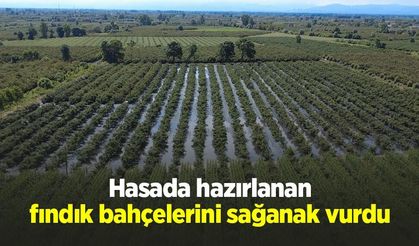 Hasada hazırlanan fındık bahçelerini sağanak vurdu