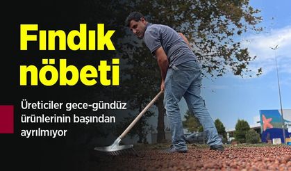 Fındık nöbeti: Üreticiler gece-gündüz ürünlerinin başından ayrılmıyor