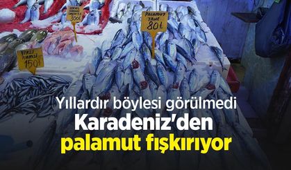 Yıllardır böylesi görülmedi: Karadeniz'den palamut fışkırıyor