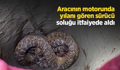 Aracının motorunda yılanı gören sürücü soluğu itfaiyede aldı