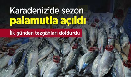 Karadeniz’de sezon palamutla açıldı: İlk günden tezgâhları doldurdu