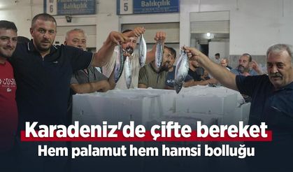 Karadeniz'de çifte bereket: Hem palamut hem hamsi bolluğu