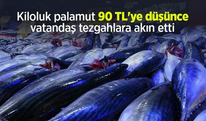 Kiloluk palamut 90 TL'ye düşünce vatandaş tezgahlara akın etti