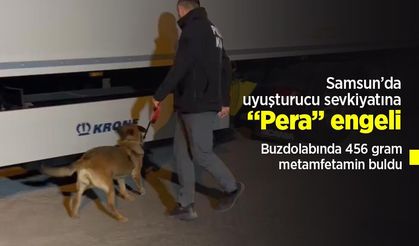 Samsun’da uyuşturucu sevkiyatına “Pera” engeli: Buzdolabında 456 gram metamfetamin buldu