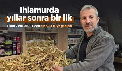Ihlamurda yıllar sonra bir ilk: Fiyatı 2 bin 500 TL’den bin 500 TL’ye geriledi