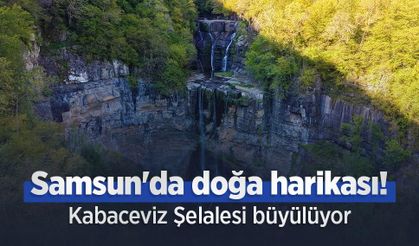 Samsun'da doğa harikası! Kabaceviz Şelalesi büyülüyor