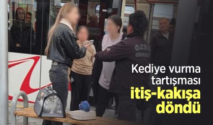 Kediye vurma tartışması itiş-kakışa döndü