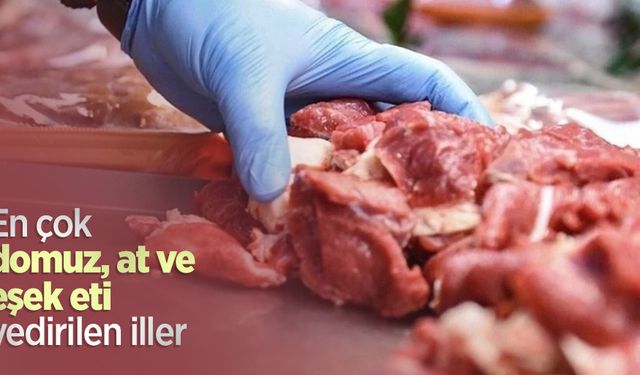 En çok domuz, at ve eşek eti yedirilen iller