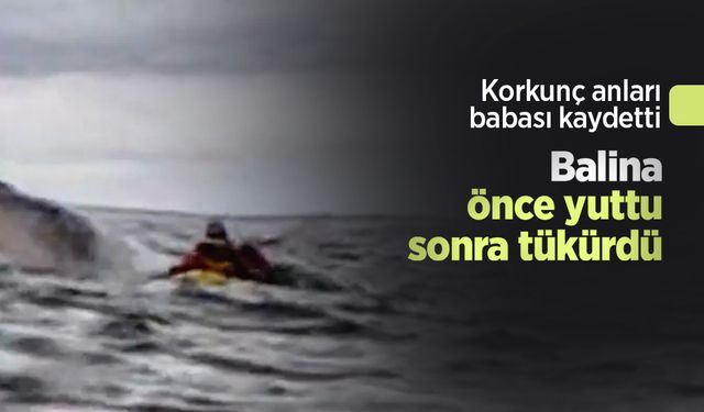 Korkunç anları babası kaydetti: Balina önce yuttu sonra tükürdü