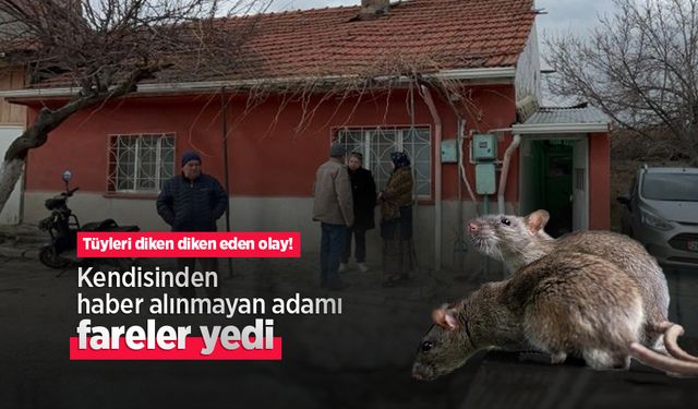 Tüyleri diken diken eden olay! Kendisinden haber alınmayan adamı fareler yedi