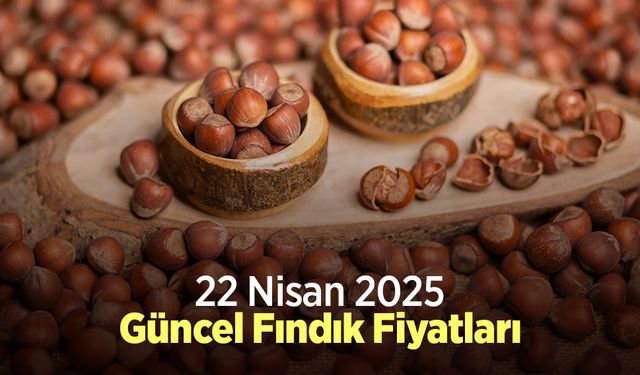 22 Nisan 2025 Güncel Fındık Fiyatları