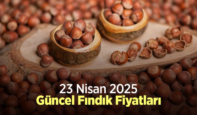 23 Nisan 2025 Güncel Fındık Fiyatları