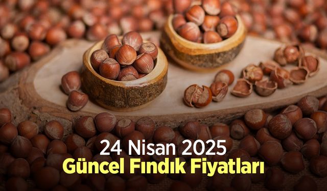 24 Nisan 2025 Güncel Fındık Fiyatları