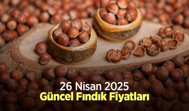 26 Nisan 2025 Güncel Fındık Fiyatları