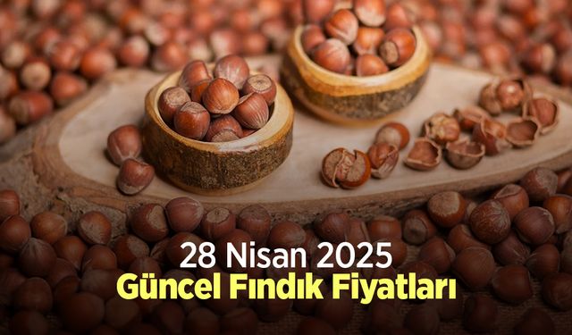 28 Nisan 2025 Güncel Fındık Fiyatları