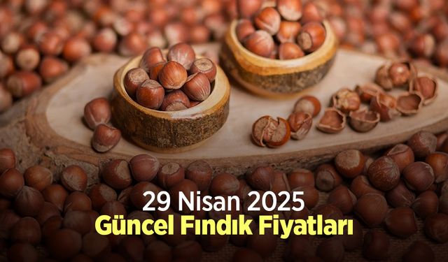 29 Nisan 2025 Güncel Fındık Fiyatları