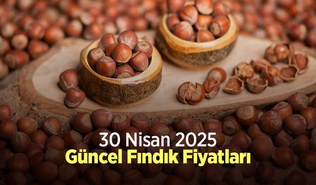 30 Nisan 2025 Güncel Fındık Fiyatları
