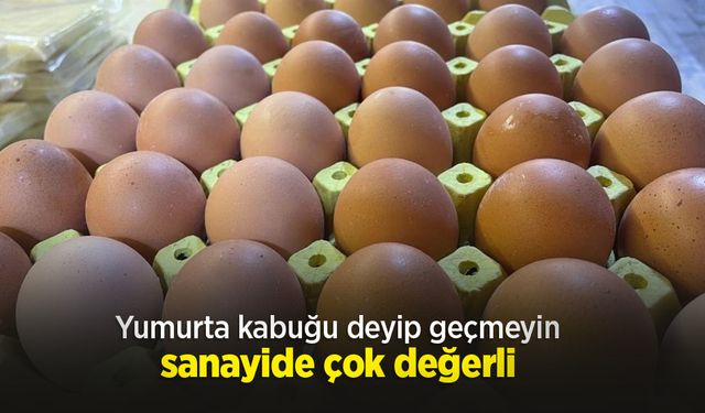 Yumurta kabuğu deyip geçmeyin sanayide çok değerli