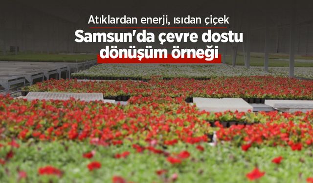 Atıklardan enerji, ısıdan çiçek: Samsun'da çevre dostu dönüşüm örneği