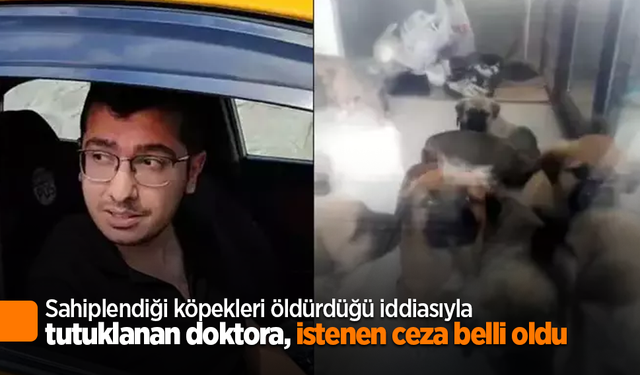 Sahiplendiği köpekleri öldürdüğü iddiasıyla tutuklanan doktora, istenen ceza belli oldu