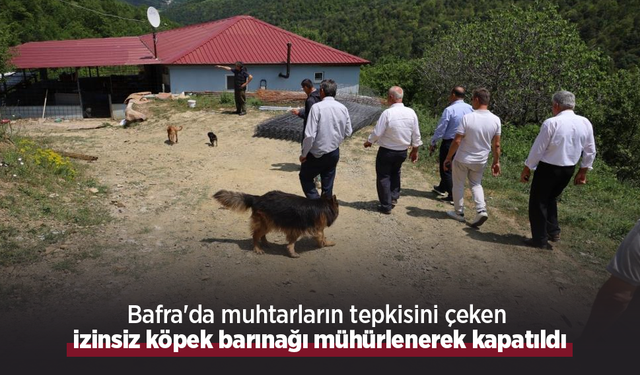 Bafra'da muhtarların tepkisini çeken izinsiz köpek barınağı mühürlenerek kapatıldı