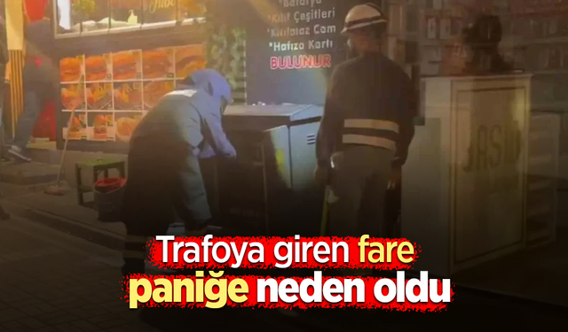 Trafoya giren fare paniğe neden oldu