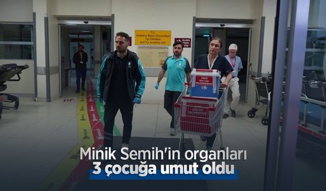 Minik Semih'in organları 3 çocuğa umut oldu