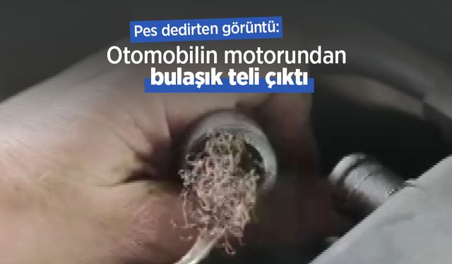Pes dedirten görüntü: Otomobilin motorundan bulaşık teli çıktı