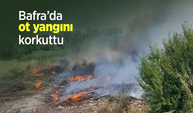Bafra’da ot yangını korkuttu