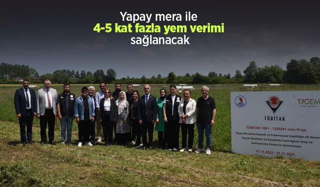 Yapay mera ile 4-5 kat fazla yem verimi sağlanacak