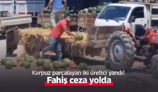 Karpuz parçalayan iki üretici yandı! Fahiş ceza yolda