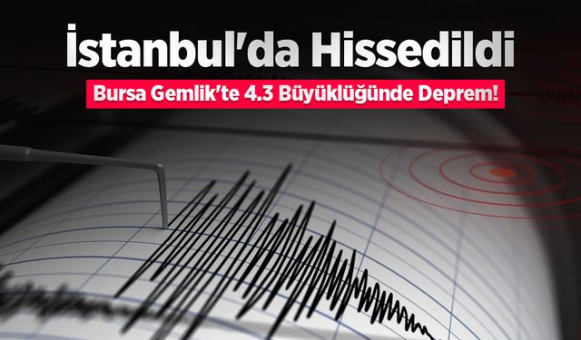 İstanbul'da Hissedildi: Bursa Gemlik'te 4.3 Büyüklüğünde Deprem!