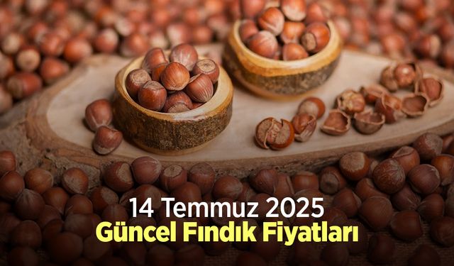 14 Temmuz 2025 Güncel Fındık Fiyatları